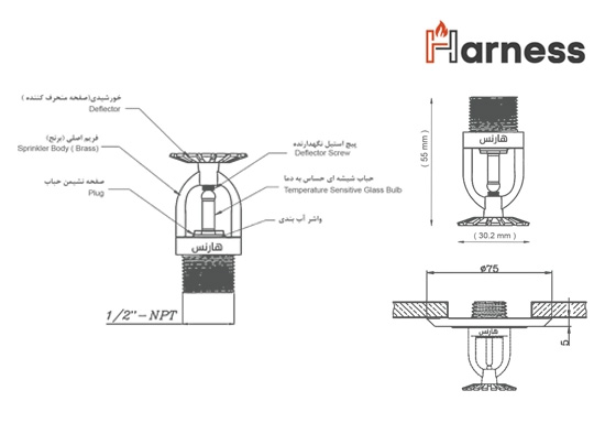 اجزاء تشکیل دهنده بارنده پایین زن هارنس